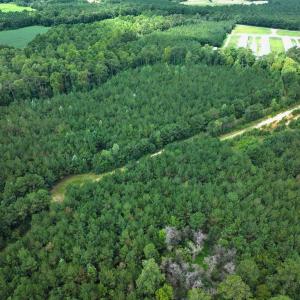 Photo #25 of Off Doc Brown Road, Rose Hill, NC 118.0 acres