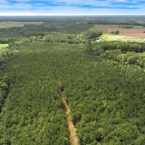 Photo #27 of Off Doc Brown Road, Rose Hill, NC 118.0 acres
