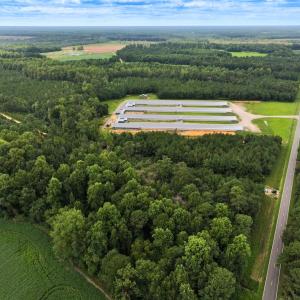 Photo #3 of Off Doc Brown Road, Rose Hill, NC 118.0 acres