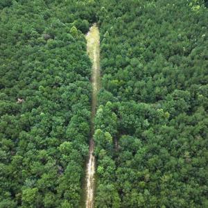 Photo #29 of Off Doc Brown Road, Rose Hill, NC 118.0 acres