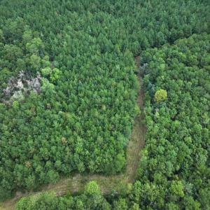 Photo #30 of Off Doc Brown Road, Rose Hill, NC 118.0 acres