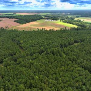 Photo #33 of Off Doc Brown Road, Rose Hill, NC 118.0 acres