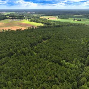 Photo #34 of Off Doc Brown Road, Rose Hill, NC 118.0 acres