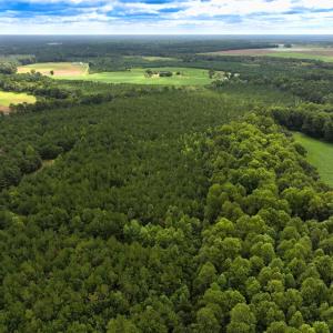 Photo #35 of Off Doc Brown Road, Rose Hill, NC 118.0 acres