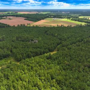 Photo #36 of Off Doc Brown Road, Rose Hill, NC 118.0 acres