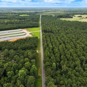 Photo #4 of Off Doc Brown Road, Rose Hill, NC 118.0 acres