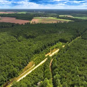 Photo #37 of Off Doc Brown Road, Rose Hill, NC 118.0 acres
