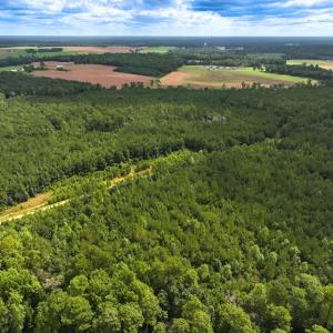 Photo #38 of Off Doc Brown Road, Rose Hill, NC 118.0 acres