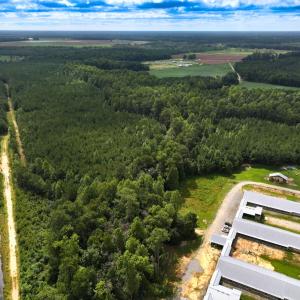 Photo #39 of Off Doc Brown Road, Rose Hill, NC 118.0 acres