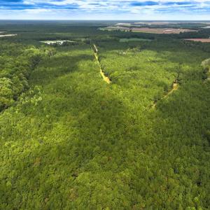 Photo #40 of Off Doc Brown Road, Rose Hill, NC 118.0 acres