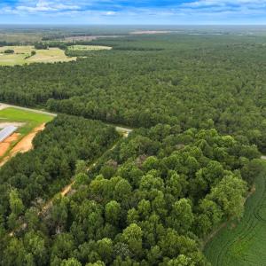 Photo #6 of Off Doc Brown Road, Rose Hill, NC 118.0 acres