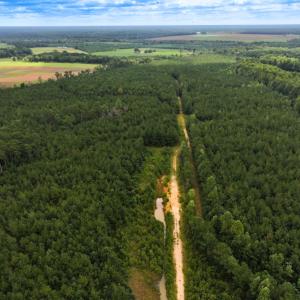 Photo #7 of Off Doc Brown Road, Rose Hill, NC 118.0 acres