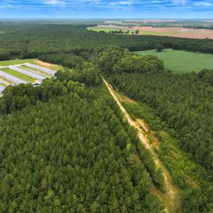 Photo #8 of Off Doc Brown Road, Rose Hill, NC 118.0 acres