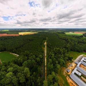 Photo #9 of Off Doc Brown Road, Rose Hill, NC 118.0 acres