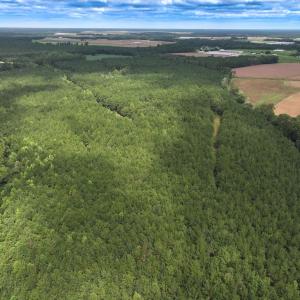 Photo #41 of Off Doc Brown Road, Rose Hill, NC 118.0 acres