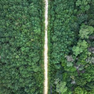 Photo #43 of Off Doc Brown Road, Rose Hill, NC 118.0 acres