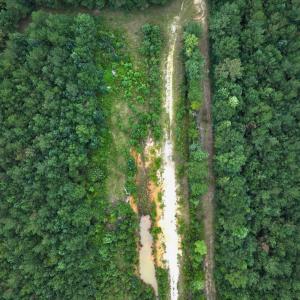 Photo #45 of Off Doc Brown Road, Rose Hill, NC 118.0 acres