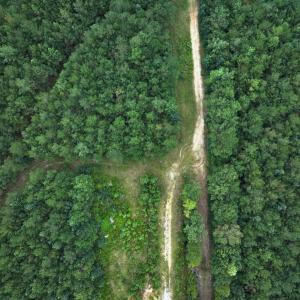 Photo #46 of Off Doc Brown Road, Rose Hill, NC 118.0 acres