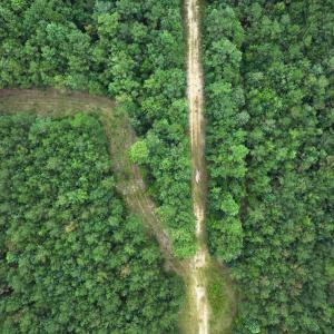 Photo #47 of Off Doc Brown Road, Rose Hill, NC 118.0 acres