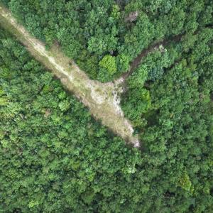 Photo #48 of Off Doc Brown Road, Rose Hill, NC 118.0 acres