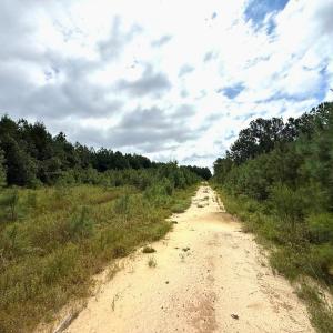 Photo #49 of Off Doc Brown Road, Rose Hill, NC 118.0 acres