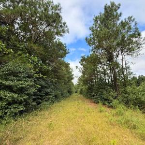 Photo #50 of Off Doc Brown Road, Rose Hill, NC 118.0 acres