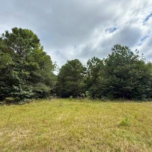 Photo #51 of Off Doc Brown Road, Rose Hill, NC 118.0 acres