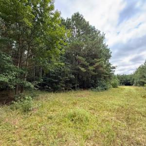 Photo #52 of Off Doc Brown Road, Rose Hill, NC 118.0 acres