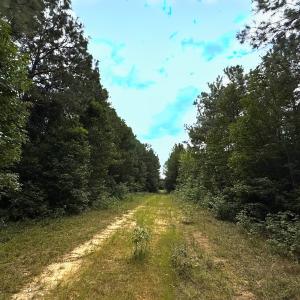 Photo #53 of Off Doc Brown Road, Rose Hill, NC 118.0 acres