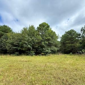 Photo #55 of Off Doc Brown Road, Rose Hill, NC 118.0 acres