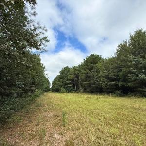 Photo #56 of Off Doc Brown Road, Rose Hill, NC 118.0 acres