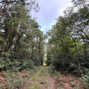 Photo #57 of Off Doc Brown Road, Rose Hill, NC 118.0 acres