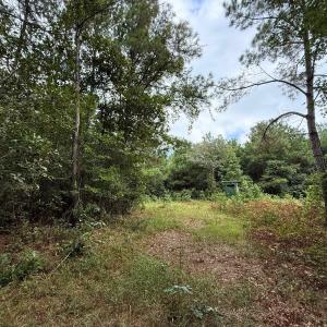 Photo #58 of Off Doc Brown Road, Rose Hill, NC 118.0 acres