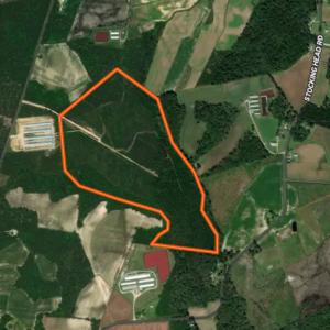 Photo #61 of Off Doc Brown Road, Rose Hill, NC 118.0 acres