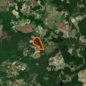 Photo #59 of Off Doc Brown Road, Rose Hill, NC 118.0 acres