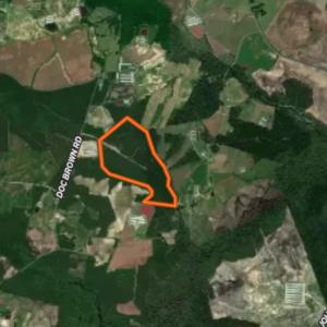 Photo #60 of Off Doc Brown Road, Rose Hill, NC 118.0 acres