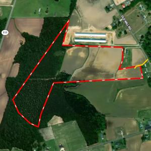 Photo #42 of Off Old Mill Road, stantonsburg, NC 51.5 acres