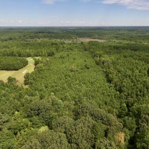 Photo #10 of 1004 No Bottom RD, Warrenton, NC 44.0 acres