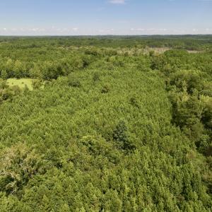 Photo #11 of 1004 No Bottom RD, Warrenton, NC 44.0 acres