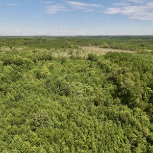 Photo #12 of 1004 No Bottom RD, Warrenton, NC 44.0 acres