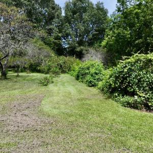 Photo #13 of 1004 No Bottom RD, Warrenton, NC 44.0 acres