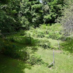 Photo #14 of 1004 No Bottom RD, Warrenton, NC 44.0 acres