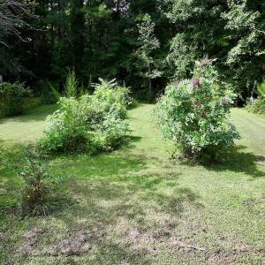 Photo #15 of 1004 No Bottom RD, Warrenton, NC 44.0 acres