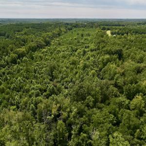 Photo #18 of 1004 No Bottom RD, Warrenton, NC 44.0 acres
