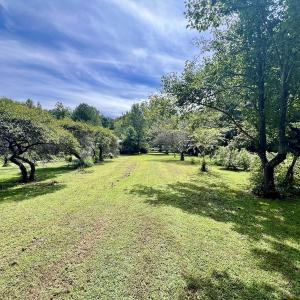 Photo #21 of 1004 No Bottom RD, Warrenton, NC 44.0 acres