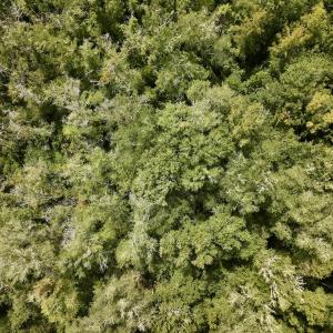 Photo #22 of 1004 No Bottom RD, Warrenton, NC 44.0 acres