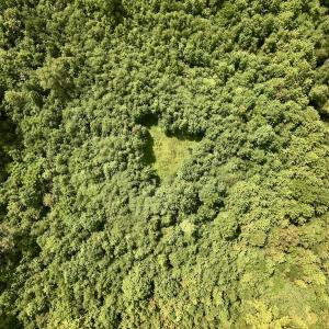 Photo #24 of 1004 No Bottom RD, Warrenton, NC 44.0 acres