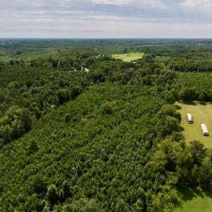 Photo #28 of 1004 No Bottom RD, Warrenton, NC 44.0 acres