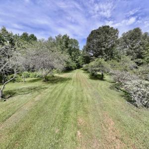 Photo #3 of 1004 No Bottom RD, Warrenton, NC 44.0 acres