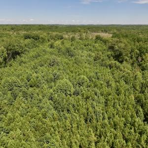 Photo #30 of 1004 No Bottom RD, Warrenton, NC 44.0 acres